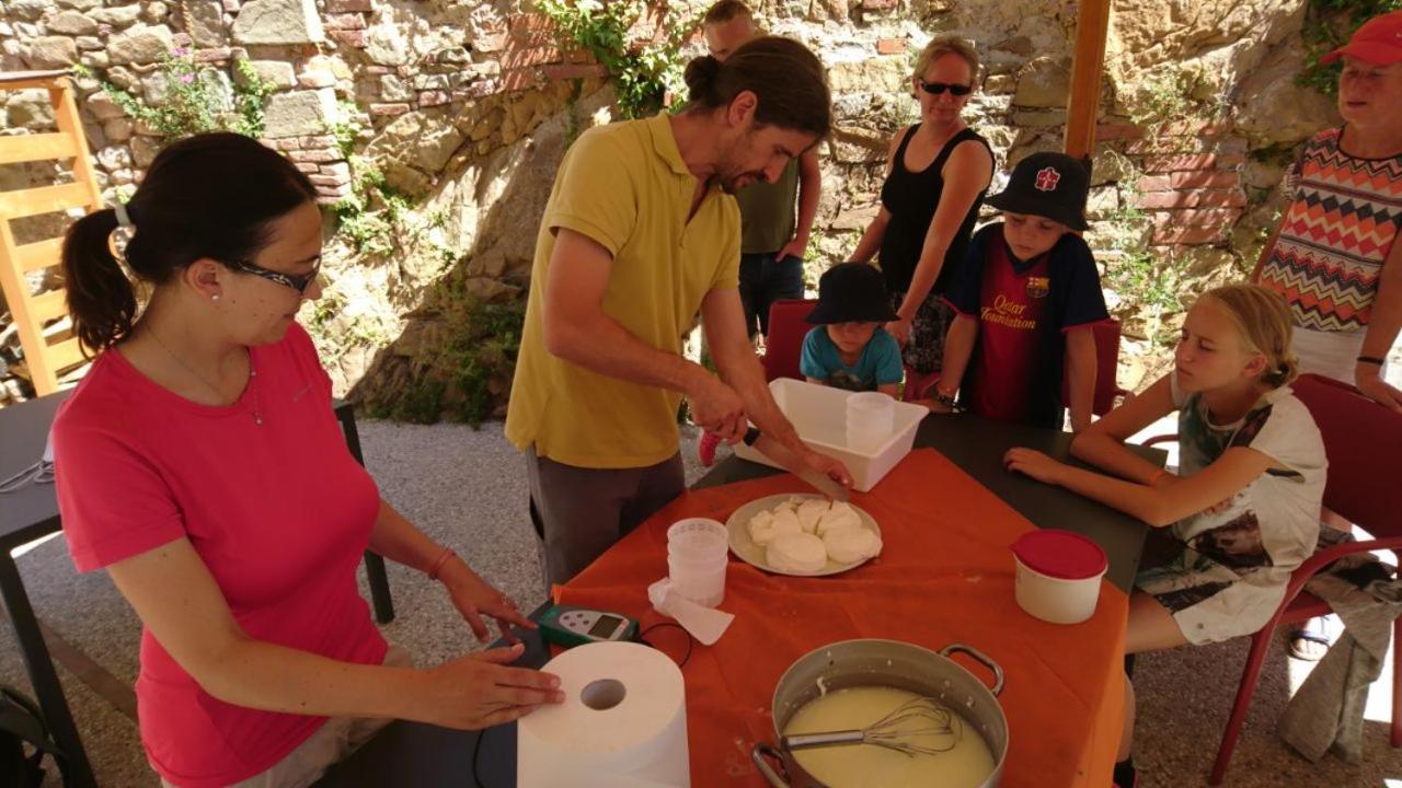 Campsite Barco Reale Lamporecchio